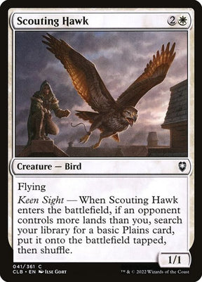 41-scoutinghawk