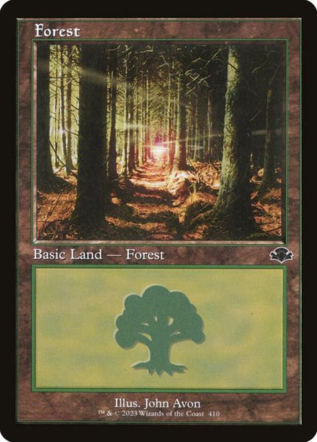 410-forest