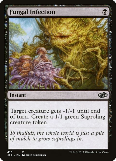 416-fungalinfection