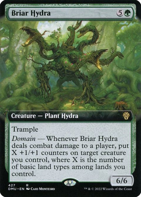 427-briarhydra