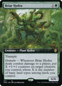 427-briarhydra