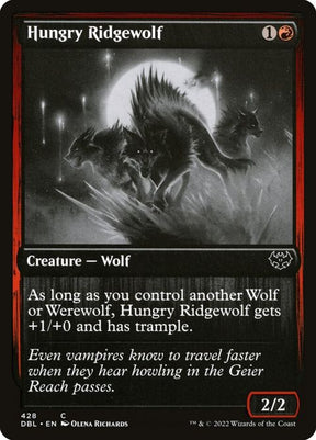 428-hungryridgewolf