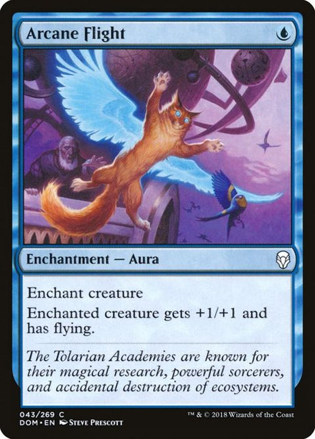 43-arcaneflight