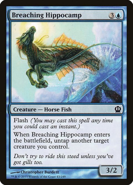43-breachinghippocamp
