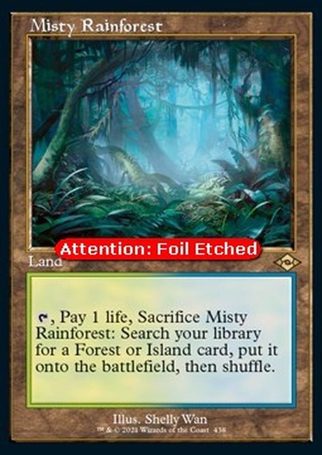 438e-mistyrainforest