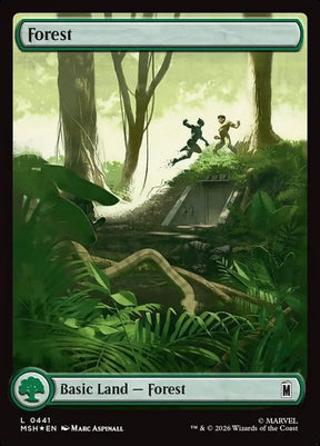 441-forest