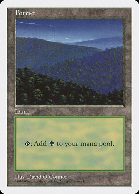 447-forest