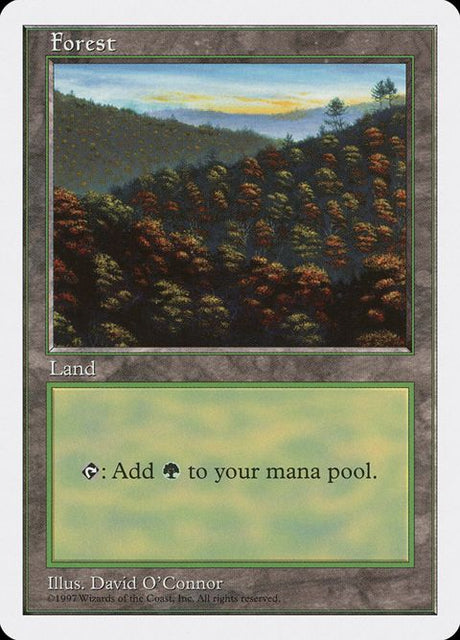 448-forest