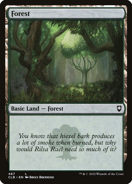 467-forest