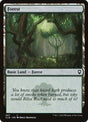 467-forest