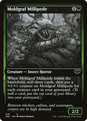 476-moldgrafmillipede