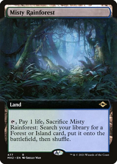 477-mistyrainforest