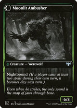 479-oakshadestalkermoonlitambusher-b