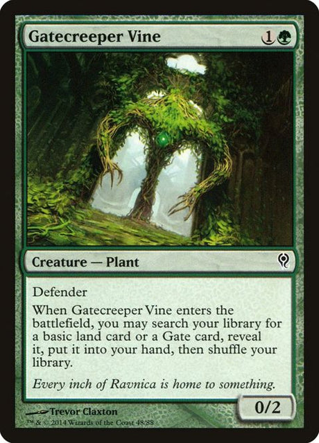 48-gatecreepervine