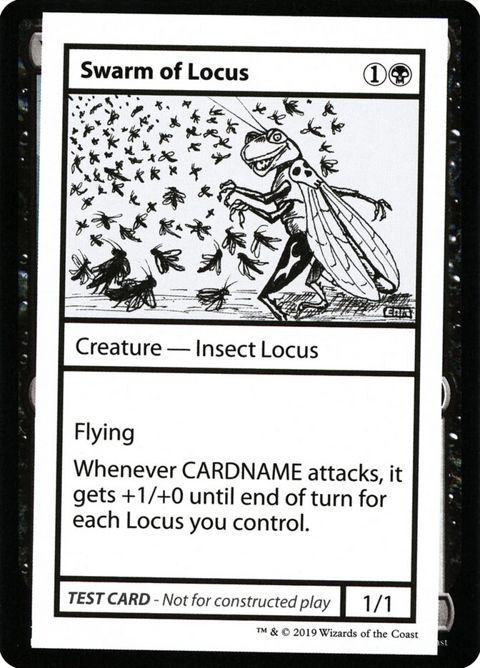 48-swarmoflocus