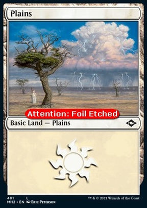 481e-plains