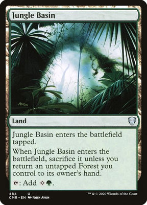 484-junglebasin