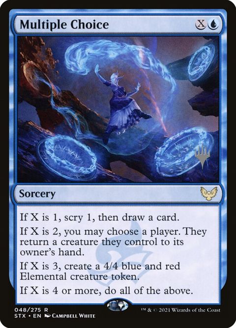 48p-multiplechoice