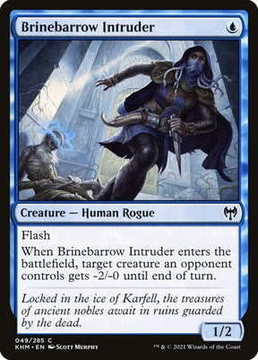 49-brinebarrowintruder