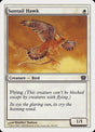 49-suntailhawk