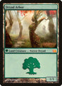 5-dryadarbor