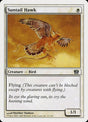 51-suntailhawk