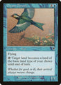 53-dreamthrush
