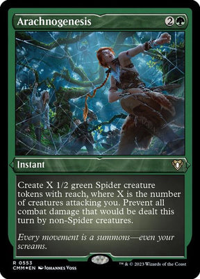 553-arachnogenesis