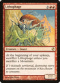 57-lithophage