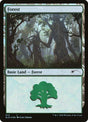 572-forest