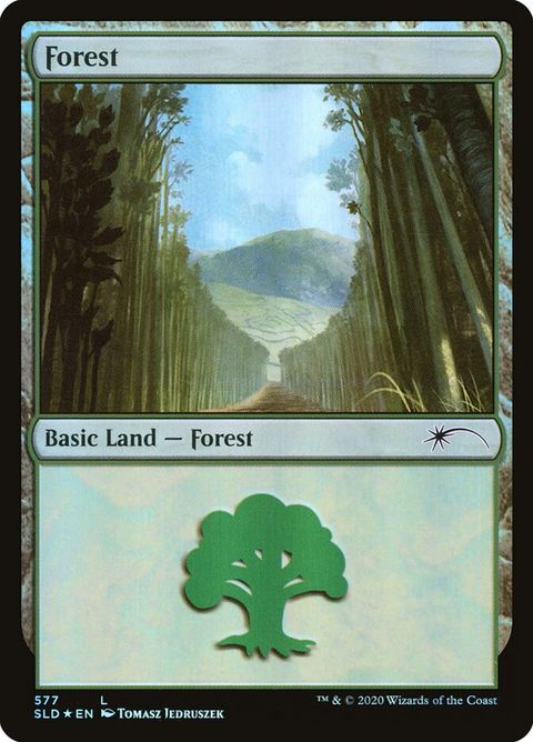 577-forest