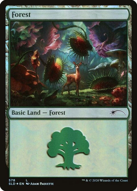 578-forest