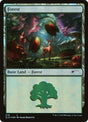 578-forest