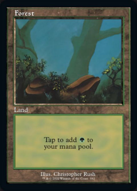 592-forest