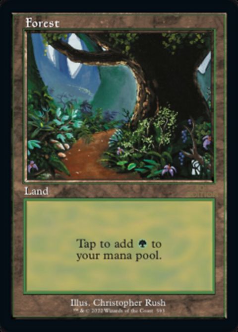 593-forest