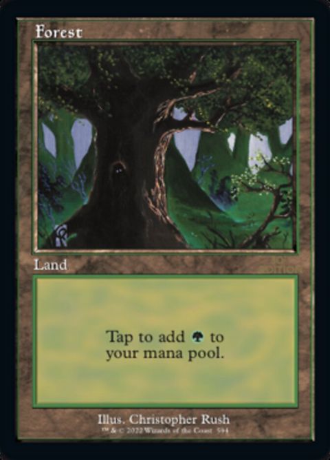 594-forest