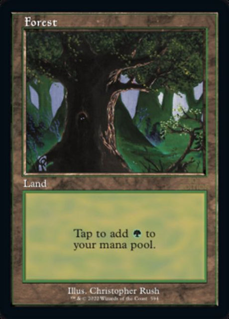 594-forest