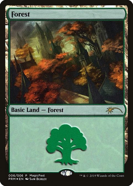 6-forest