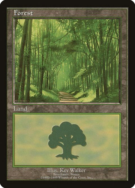 6-forest