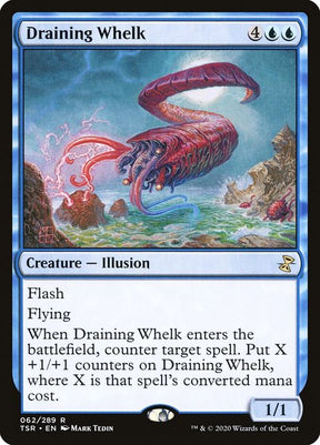 62-drainingwhelk