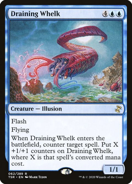 62-drainingwhelk