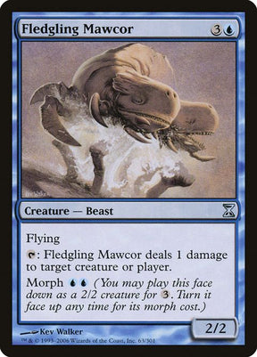 63-fledglingmawcor