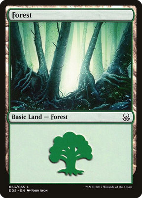 63-forest