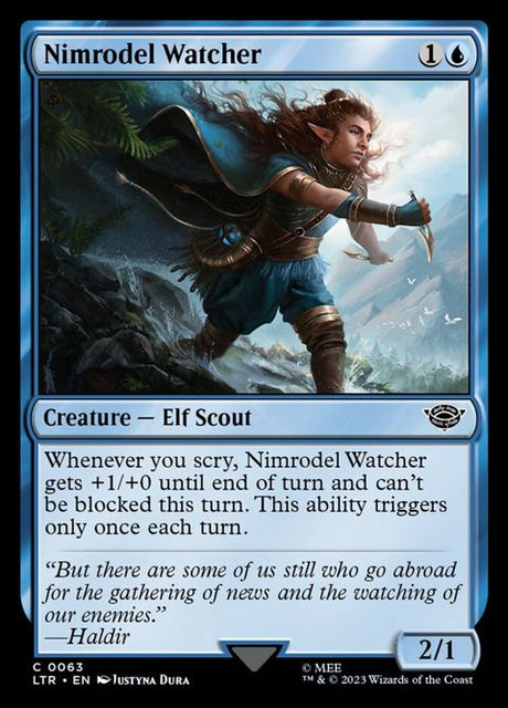 63-nimrodelwatcher