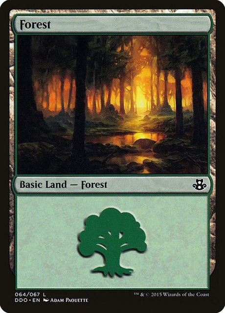64-forest
