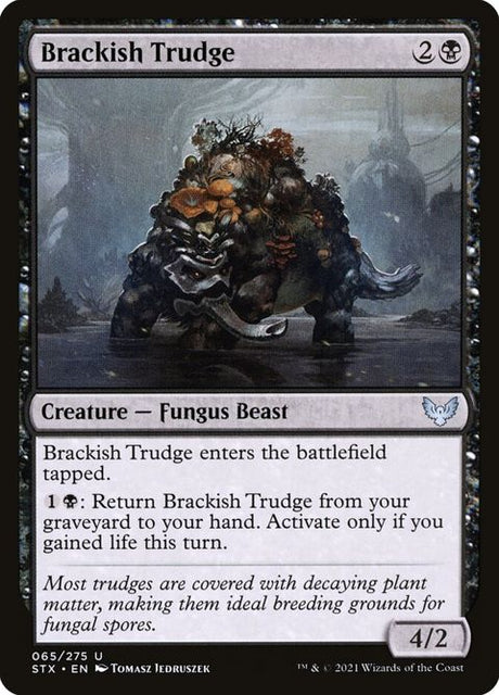 65-brackishtrudge