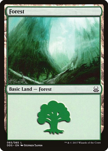 65-forest