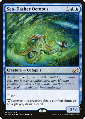 66-seadasheroctopus