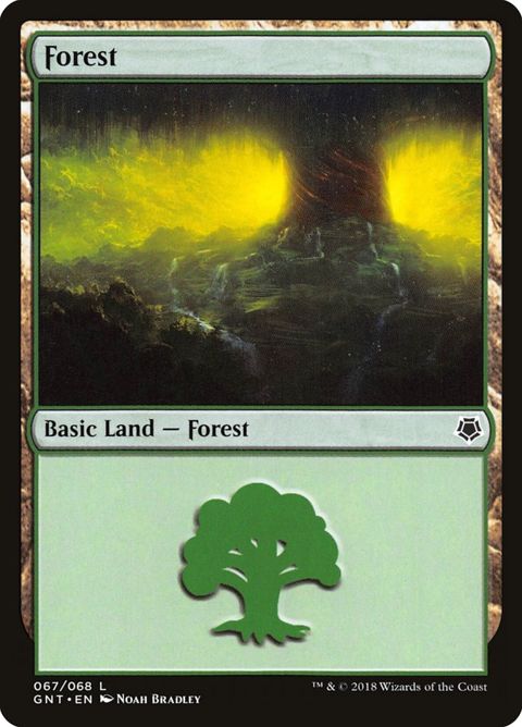 67-forest