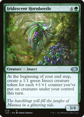 678-iridescenthornbeetle